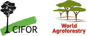 CIFOR-ICRAF logo