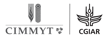 CIMMYT logo