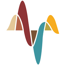 Africa’s Voices Foundation logo