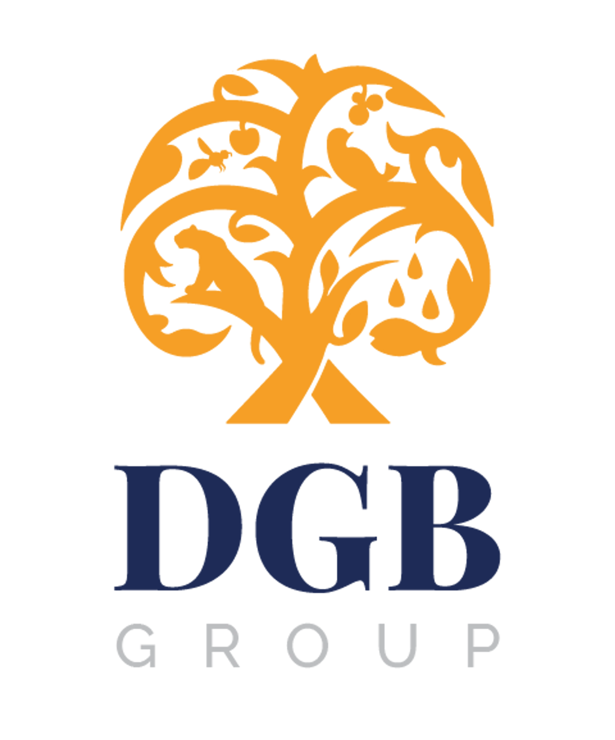 DGB Group logo