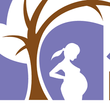 Jacaranda Maternity logo